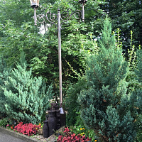  Пансионат "Октябрь",территория