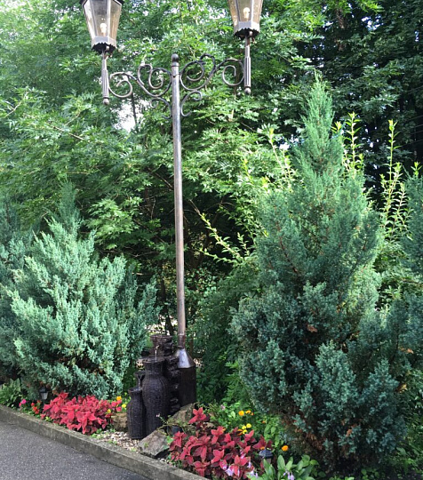  Пансионат "Октябрь",территория