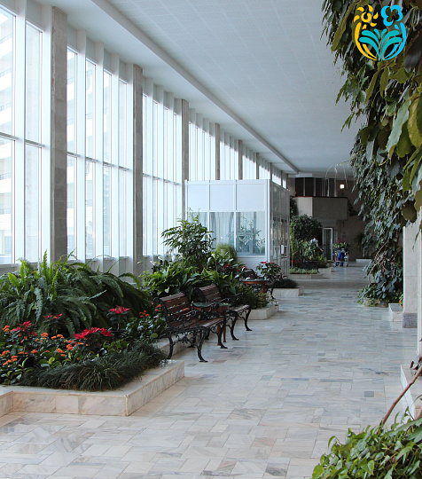  Санаторий «Горный Воздух» г. Железноводск. Зимний сад