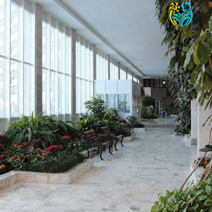  Санаторий «Горный Воздух» г. Железноводск. Зимний сад