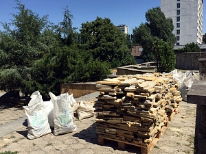 В Железноводске приведут в порядок «Аллею Любви» В Железноводске приведут в порядок «Аллею Любви»