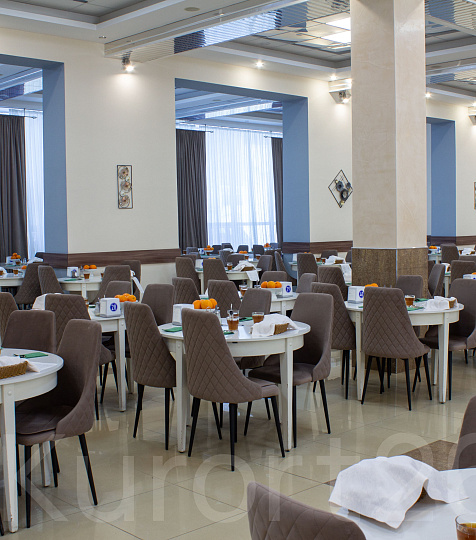  Санаторий «Металлург» г. Ессентуки. Столовая