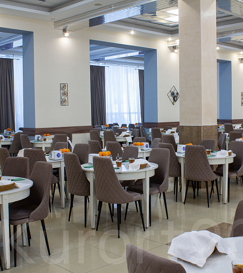  Санаторий «Металлург» г. Ессентуки. Столовая