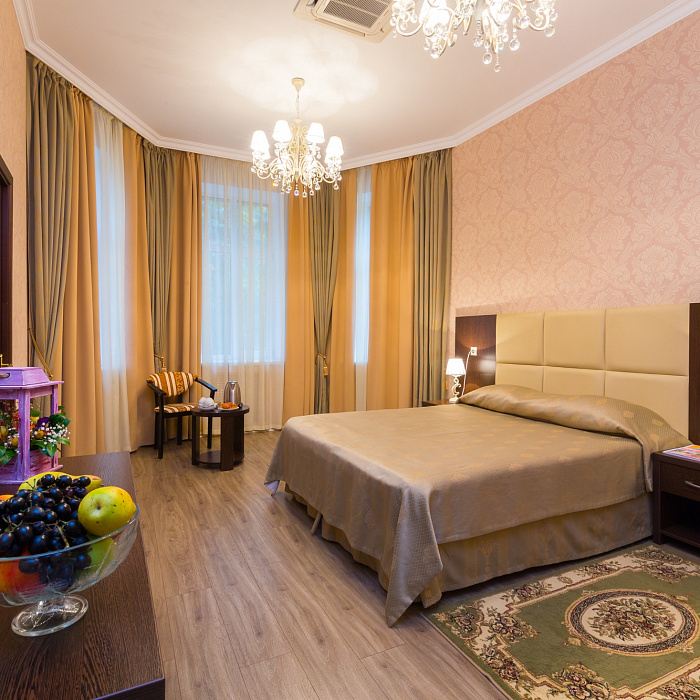  Санаторий «им. Анджиевского» г. Ессентуки. Гостевой дом «Вилла Герман». Один из номеров