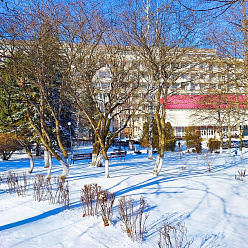 Цены ниже до 15% в ноябре–декабре + Новый год в санатории «Машук»