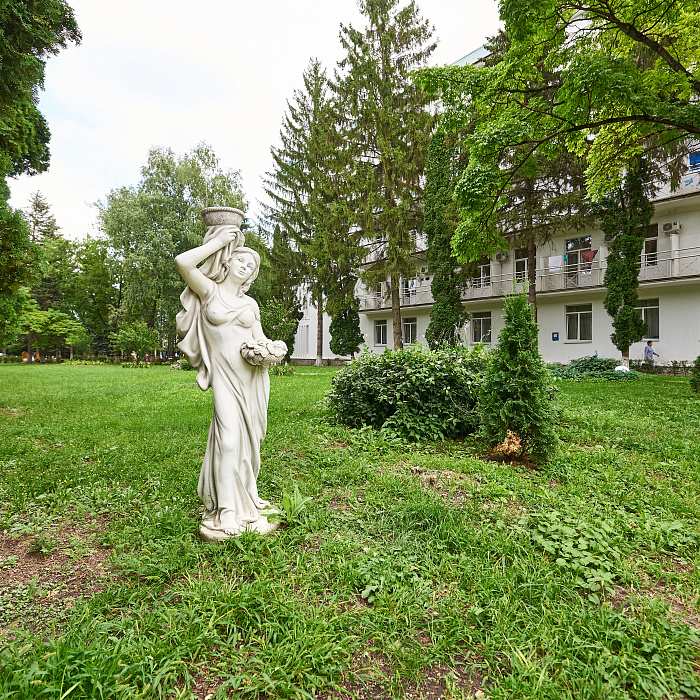  Санаторий «Центр-Союз» г. Ессентуки. Территория