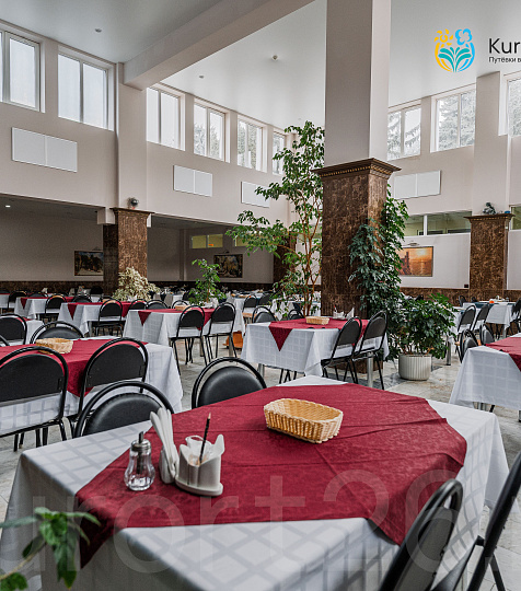  Санаторий «им. академика И. П. Павлова» г. Ессентуки. Столовая