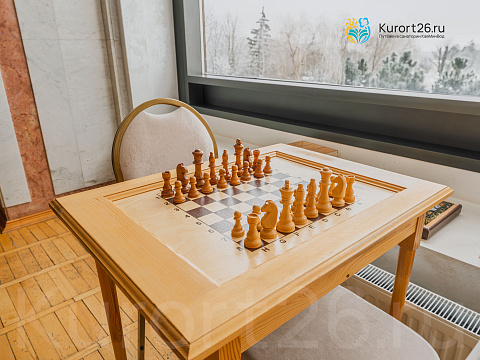 Санаторий «Елизавета—Минеральные Воды», г. Железноводск. Зона отдыха, шахматы