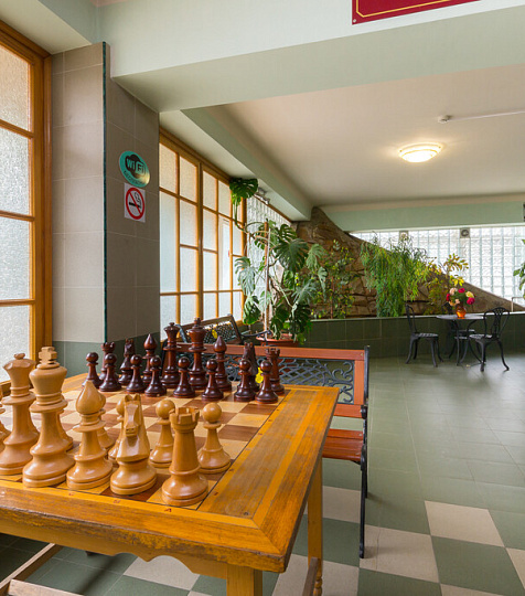  Санаторий «Лесная поляна», Пятигорск. Зона отдыха, игра в шахматы