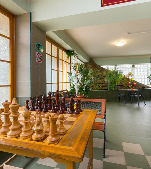  Санаторий «Лесная поляна», Пятигорск. Зона отдыха, игра в шахматы