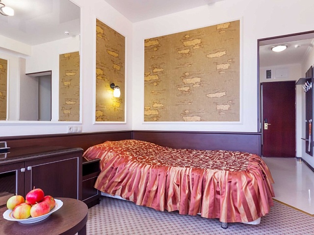 Санаторий «Крепость», Кисловодск. 1-местный номер «Стандарт»