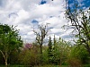 Перкальский дендрологический питомник в Пятигорске. Фотограф Виктор Жуков