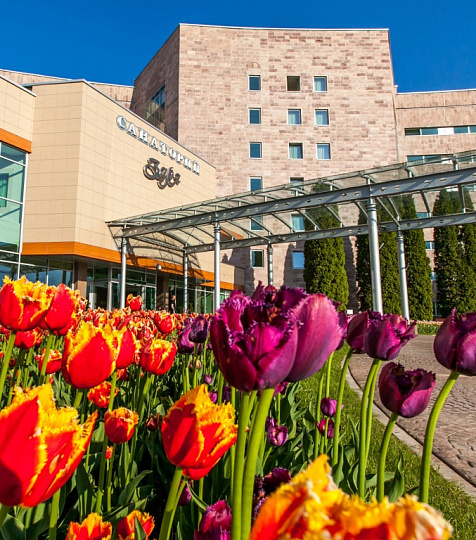  Санаторий «Заря» г. Кисловодск