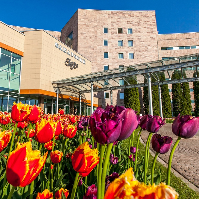  Санаторий «Заря» г. Кисловодск