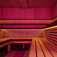  Санаторий «Дворец нарзанов» г. Кисловодск. Солевая сауна