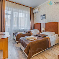  Санаторий «им. Димитрова» Кисловодск. Двухместный номер  «Комфорт»