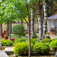 Территория