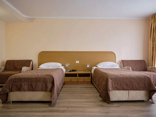 Санаторий «Долина Нарзанов», Ессентуки. 2-местный 1-комнатный «Комфорт»