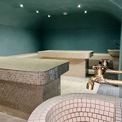  Санаторий «Дворец нарзанов» г. Кисловодск. Термальный комплекс