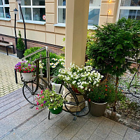 Входная группа