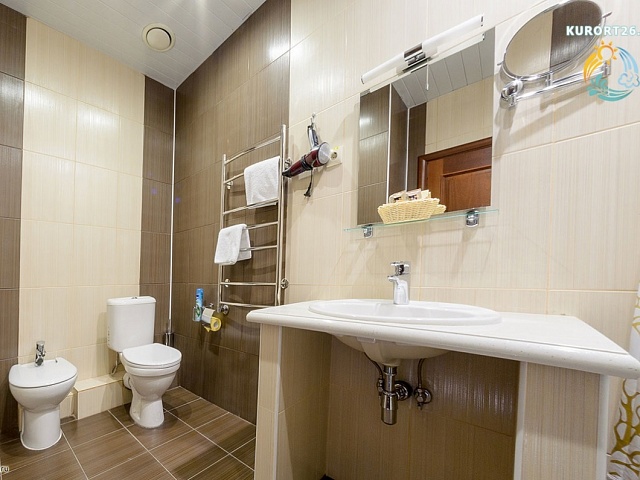 ФГБУ «Санаторно-реабилитационный центр МЧС России», Кисловодск. 2-местный номер «Люкс»