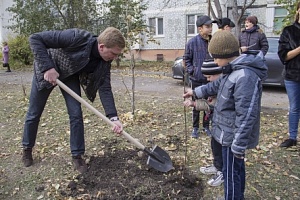 В центральной части Ессентуков высажены новые деревья