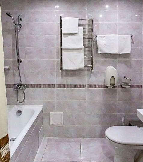  Санаторий «Россия» г. Ессентуки. Люкс улучшенный