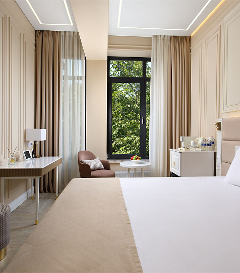  Спа-санаторий AMK Montis Club г. Железноводск. Номер Comfort