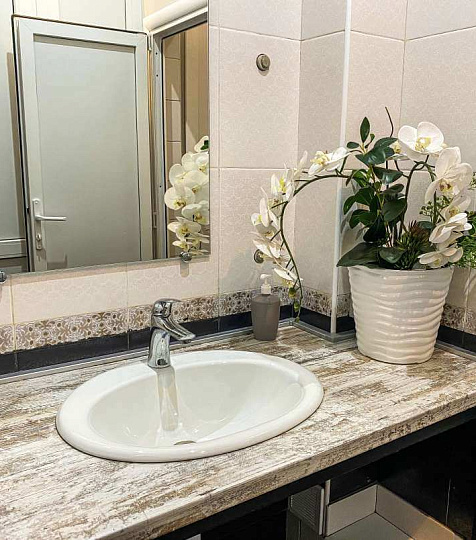  Санаторий «Вертебра» г. Кисловодск. Проживание в общем номере