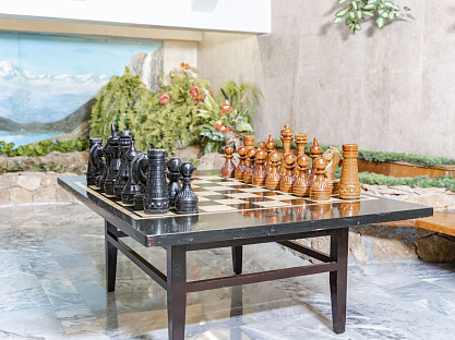 «Ессентукский военный санаторий», г. Ессентуки. Шахматы