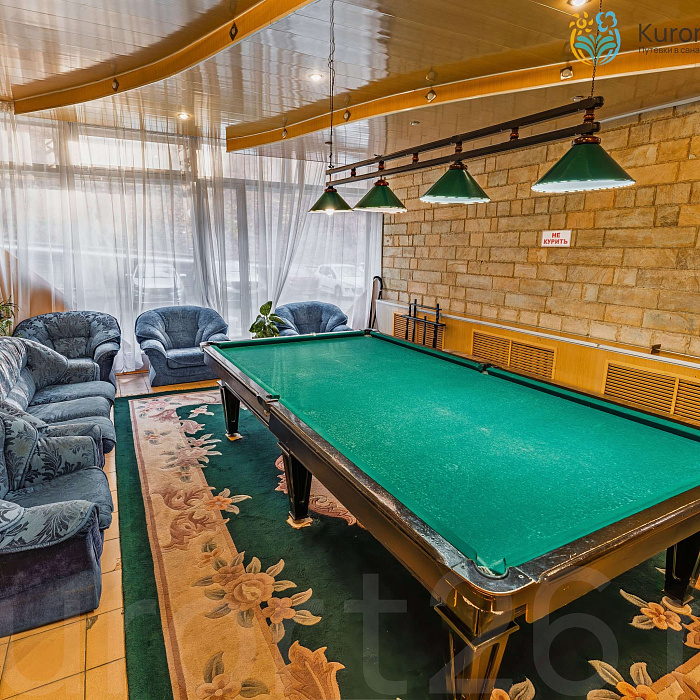  Санаторий «им. Димитрова» Кисловодск. Бильярд