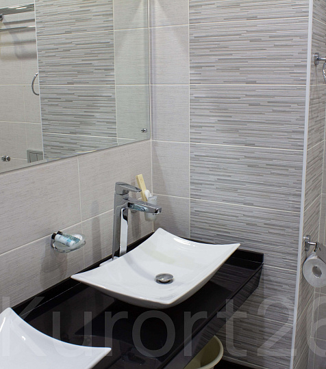  Санаторий «им. М.И. Калинина» г. Ессентуки. Двухместный номер «Люкс»