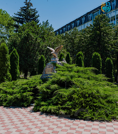  Санаторий «им. Анджиевского» г. Ессентуки. Территория