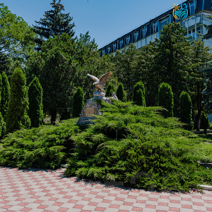  Санаторий «им. Анджиевского» г. Ессентуки. Территория