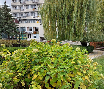 Санаторий «Машук», Пятигорск. Территория