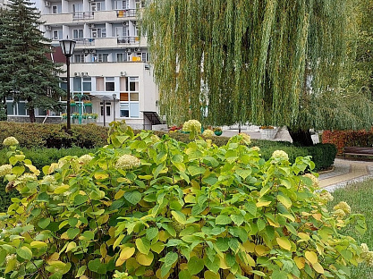 Санаторий «Машук», Пятигорск. Территория