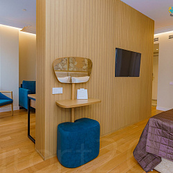  Санаторий Плаза г. Кисловодск, номер