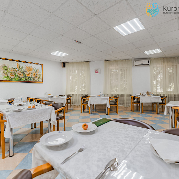  Санаторий «Колос» г. Кисловодск. Столовая