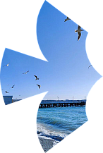 Санаторика