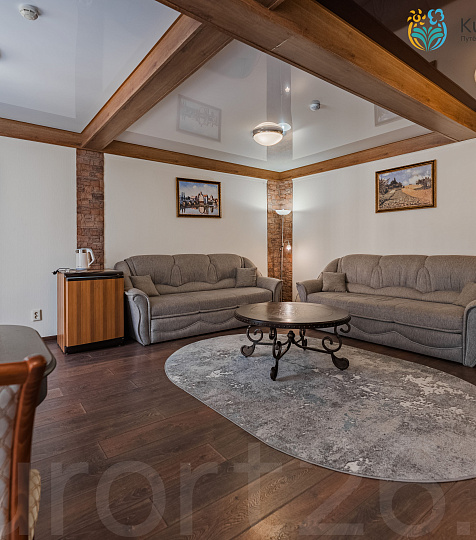  Санаторий «Эльбрус» Железноводск. Номер «Люкс»