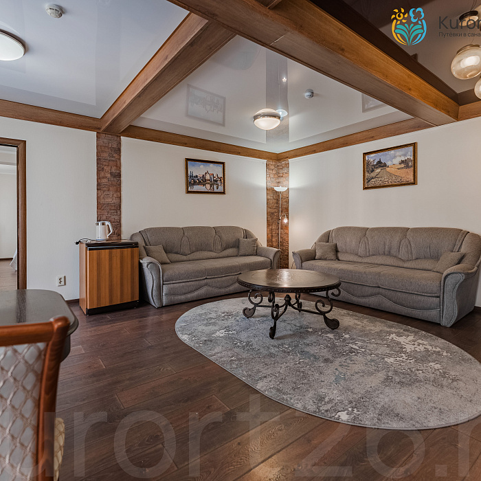  Санаторий «Эльбрус» Железноводск. Номер «Люкс»