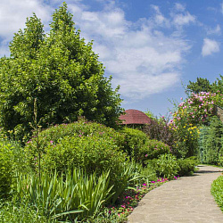  Санаторий «Кругозор» территория