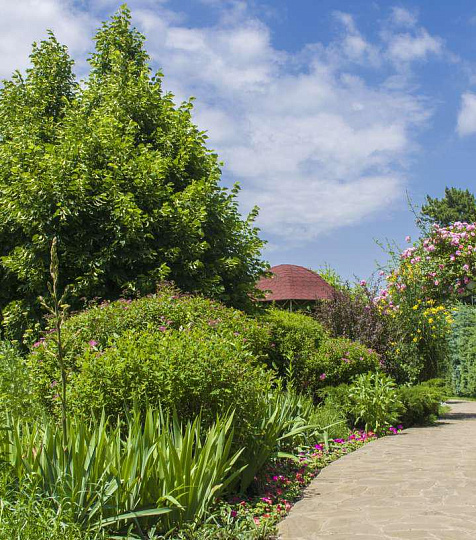  Санаторий «Кругозор» территория