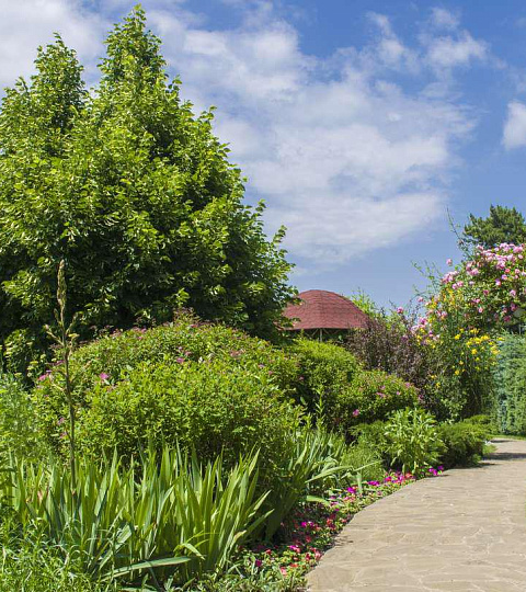  Санаторий «Кругозор» территория