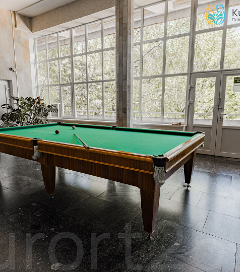  Санаторий «Бештау» г. Железноводск. Бильярд