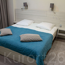  Санаторий «им. М.И. Калинина» г. Ессентуки. Двухместный номер «Люкс»