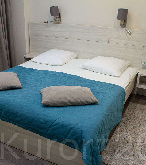  Санаторий «им. М.И. Калинина» г. Ессентуки. Двухместный номер «Люкс»