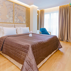  Санаторий Плаза г. Кисловодск, номер