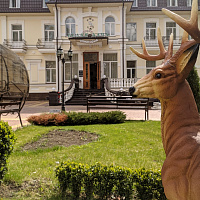  Санаторий «Белая дача» г. Кисловодск. Территория