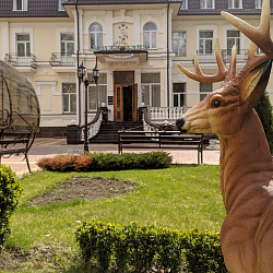  Санаторий «Белая дача» г. Кисловодск. Территория